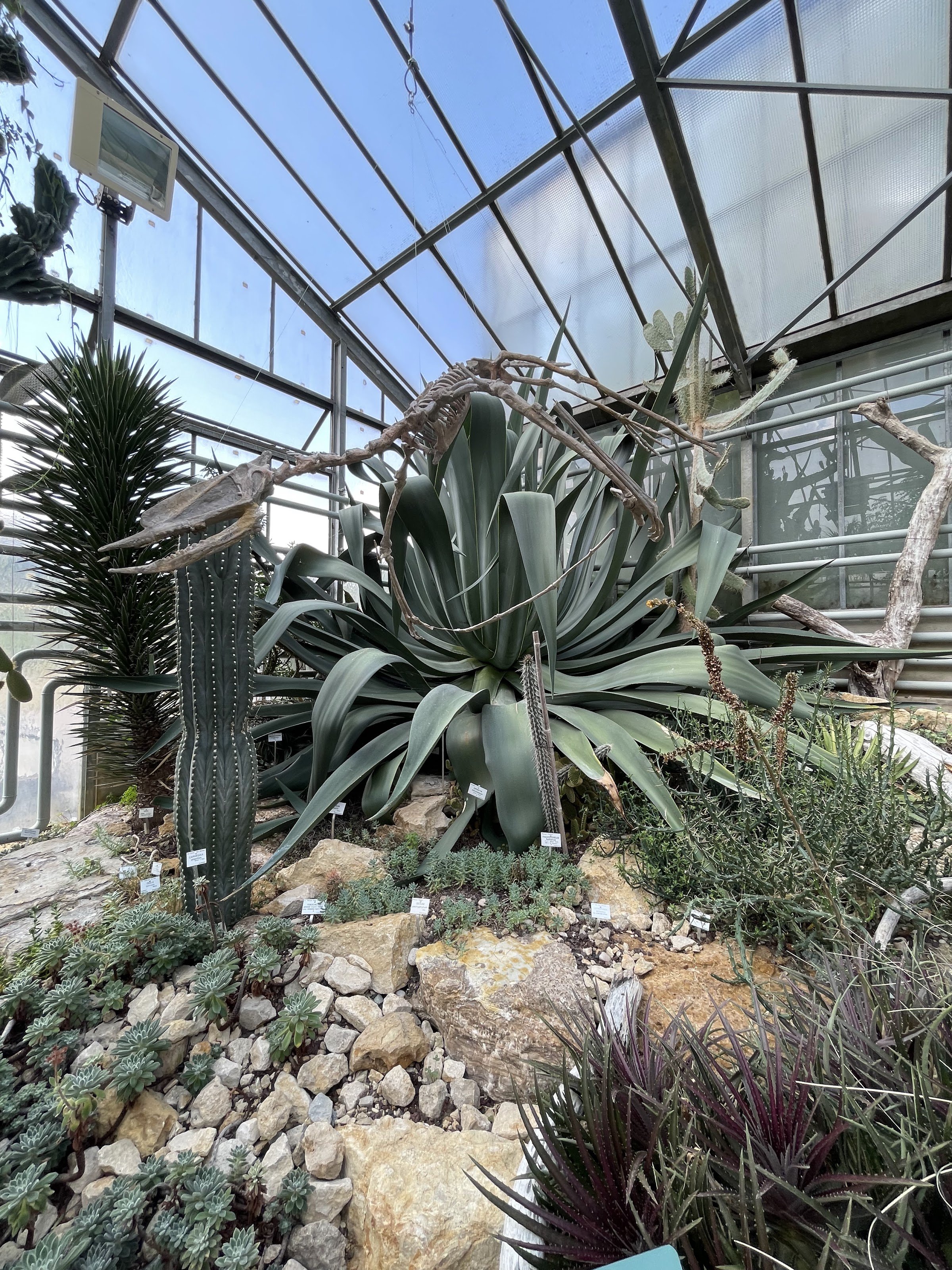 Jean‑Marie Pelt Botanical Garden